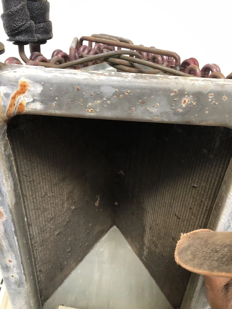 Slide of High Quality HCE