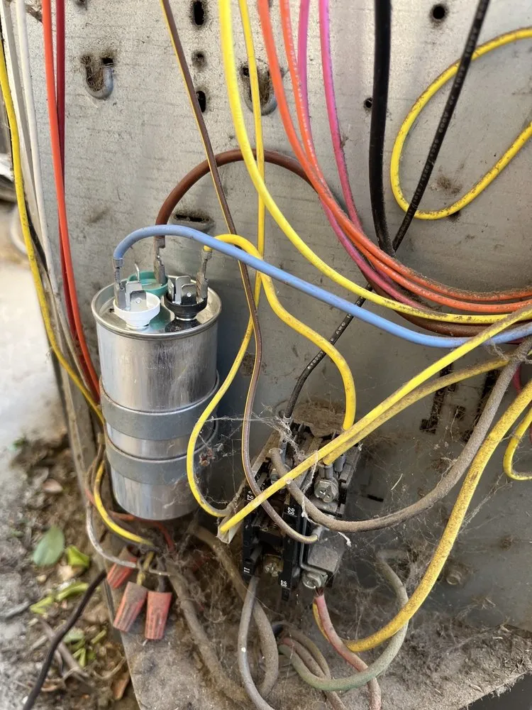 Slide of High Quality HCE