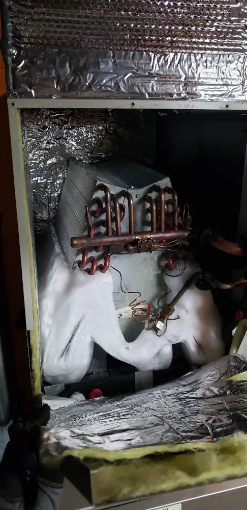 Slide of Higher Standard Service