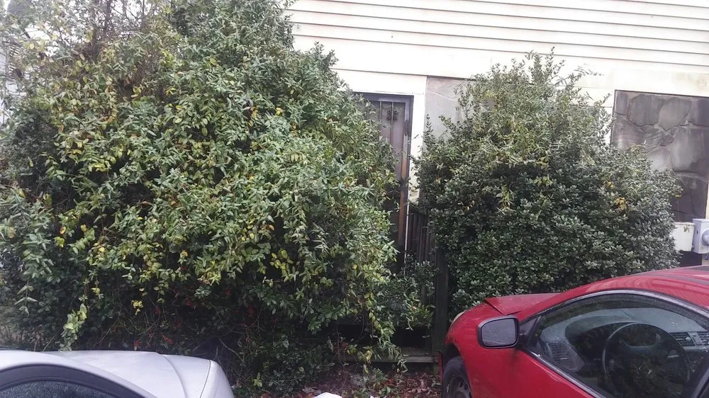 Slide of Hight's Helping Hands Lawn Care