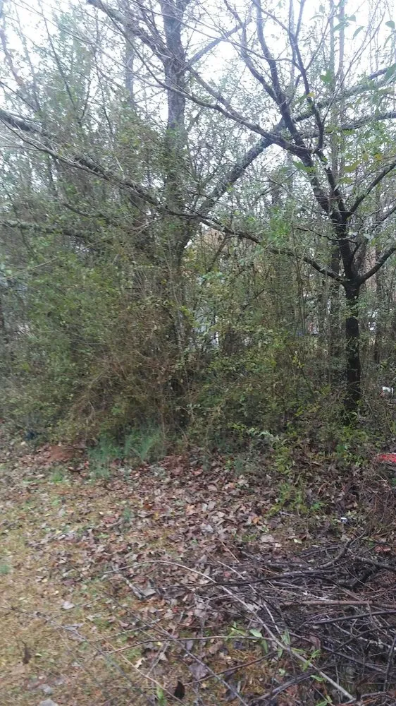 Slide of Hight's Helping Hands Lawn Care