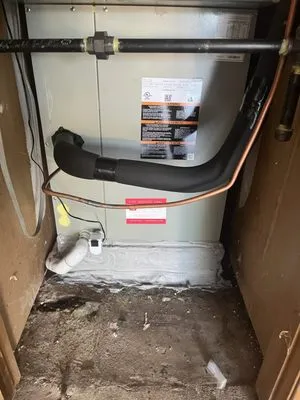 Hill & Company Service