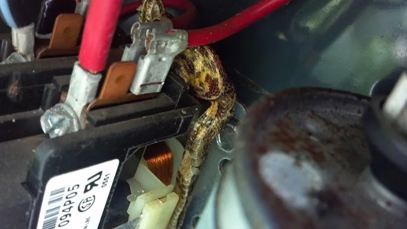 Slide of Hinton AC and Refrigeration