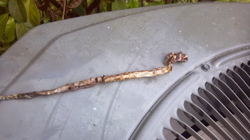 Slide of Hinton AC and Refrigeration