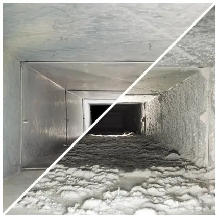 Slide of Hippo AC Steaming & Mold Removal