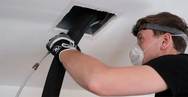 Hippo AC Steaming & Mold Removal Logo