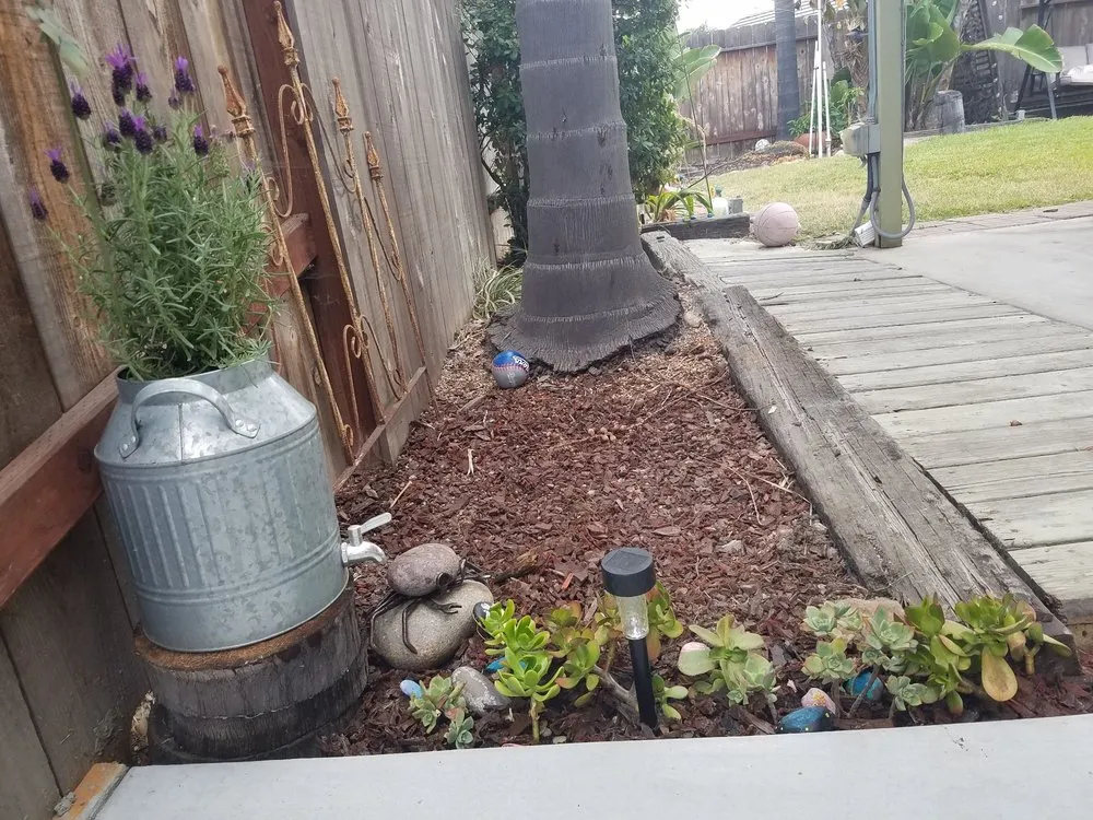 Slide of Hire Pro Man