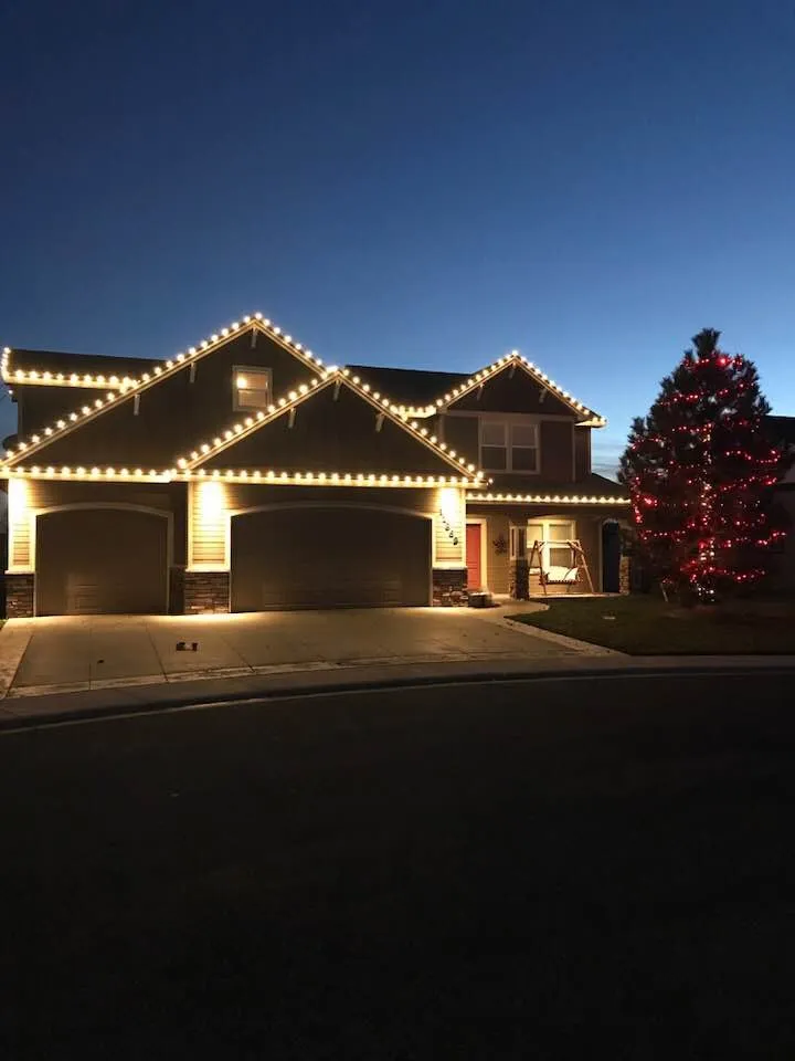 Slide of Hive Contractors