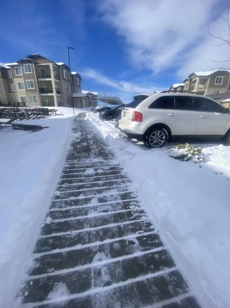 Slide of Hive Contractors