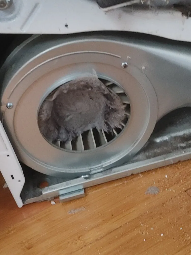 Slide of HKH Services