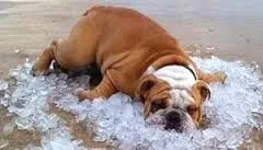 Slide of H&L Air and Heat