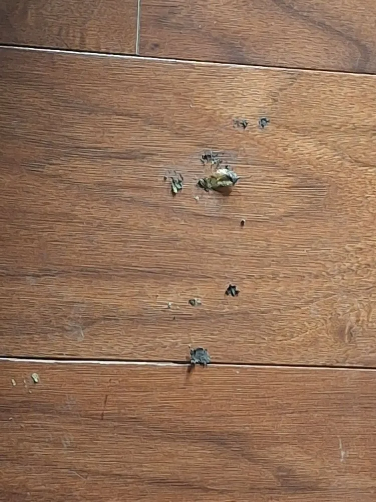 Slide of HL Bowman Inc