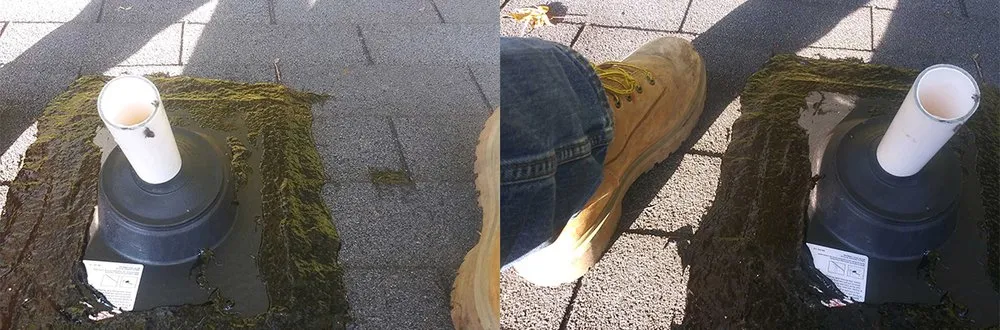 Slide of Hodge Farms Maintenance Repairs & HVAC Services