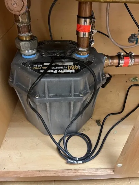 Slide of Hodgson PHD