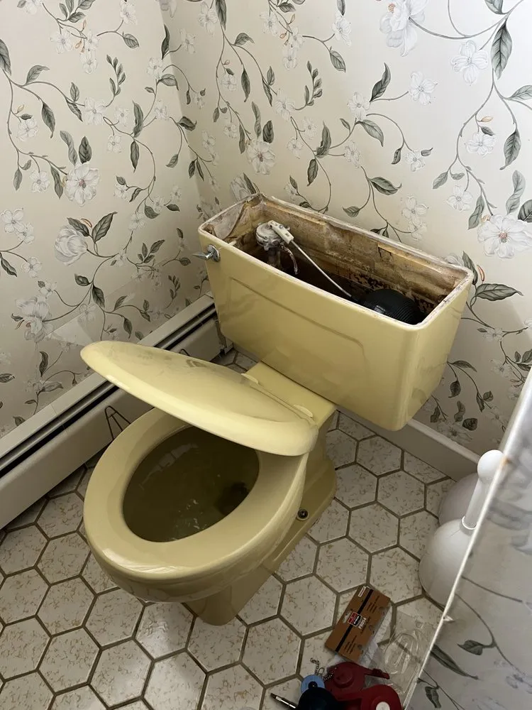 Slide of Hodgson PHD