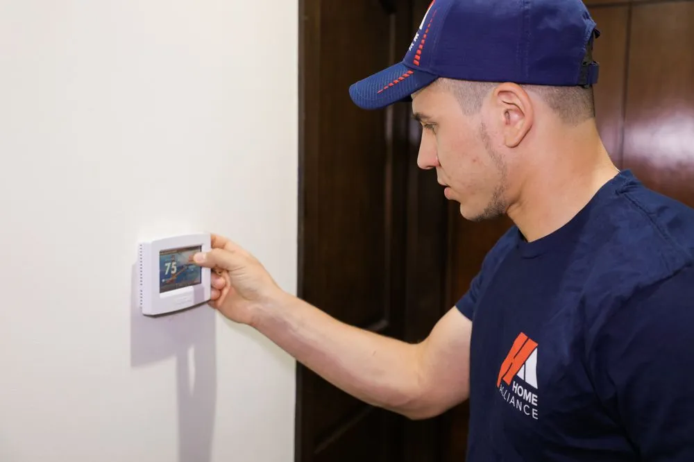 Slide of Home Alliance