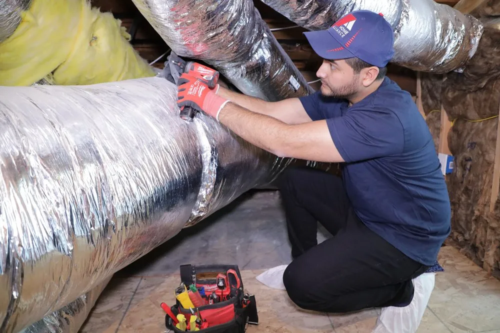 Slide of Home Alliance