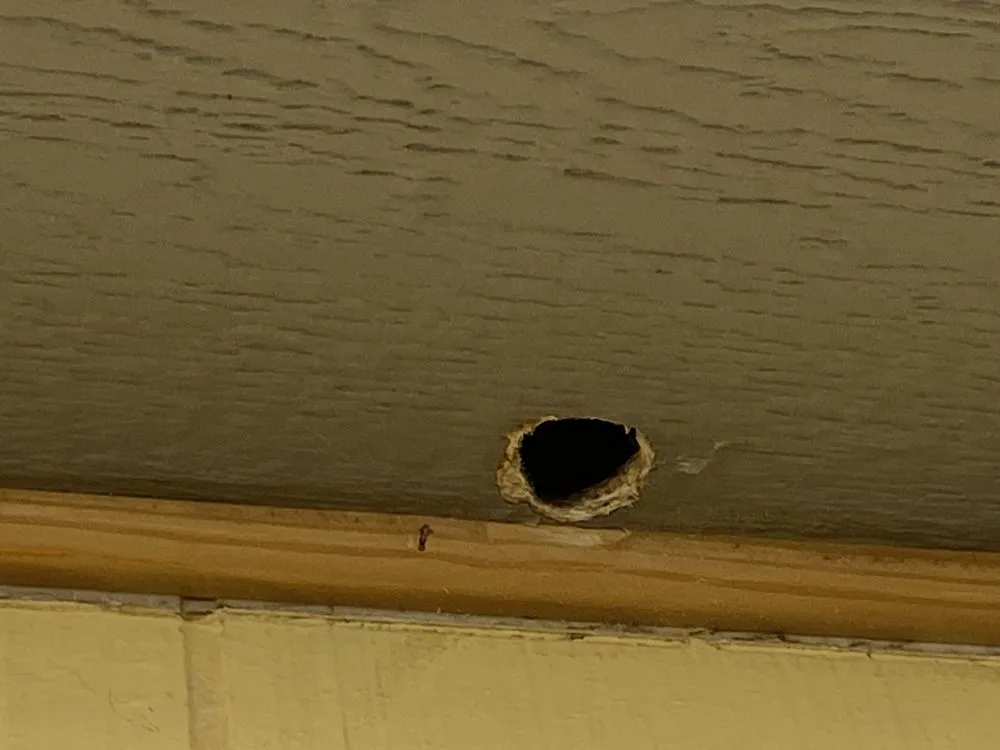 Slide of Home Pro Solutuons