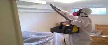 Slide of Home Safe Mold Remediation