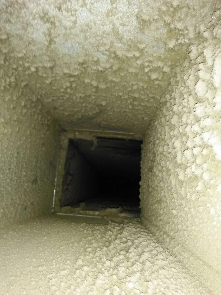 Slide of Home Safe Mold Remediation