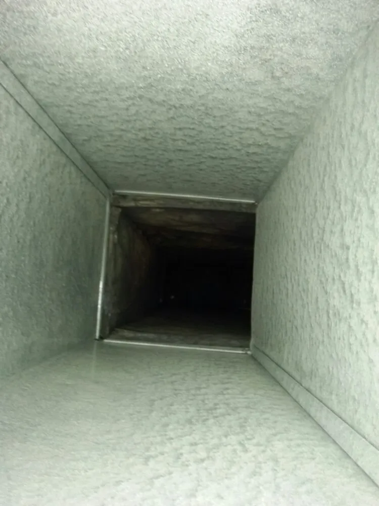 Slide of Home Safe Mold Remediation