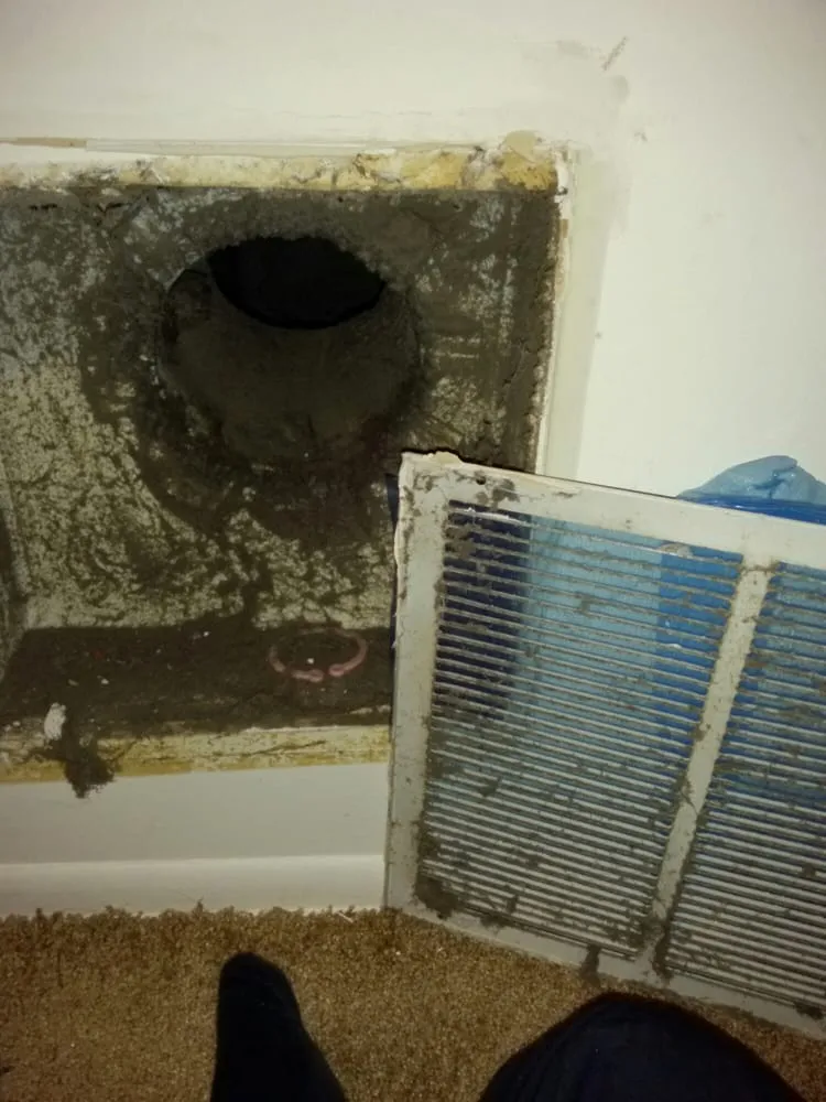 Slide of Home Safe Mold Remediation