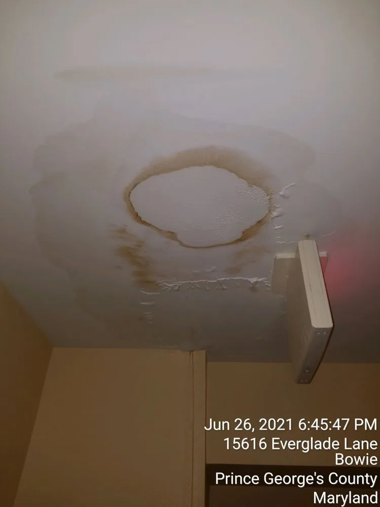 Slide of Home Safe Mold Remediation