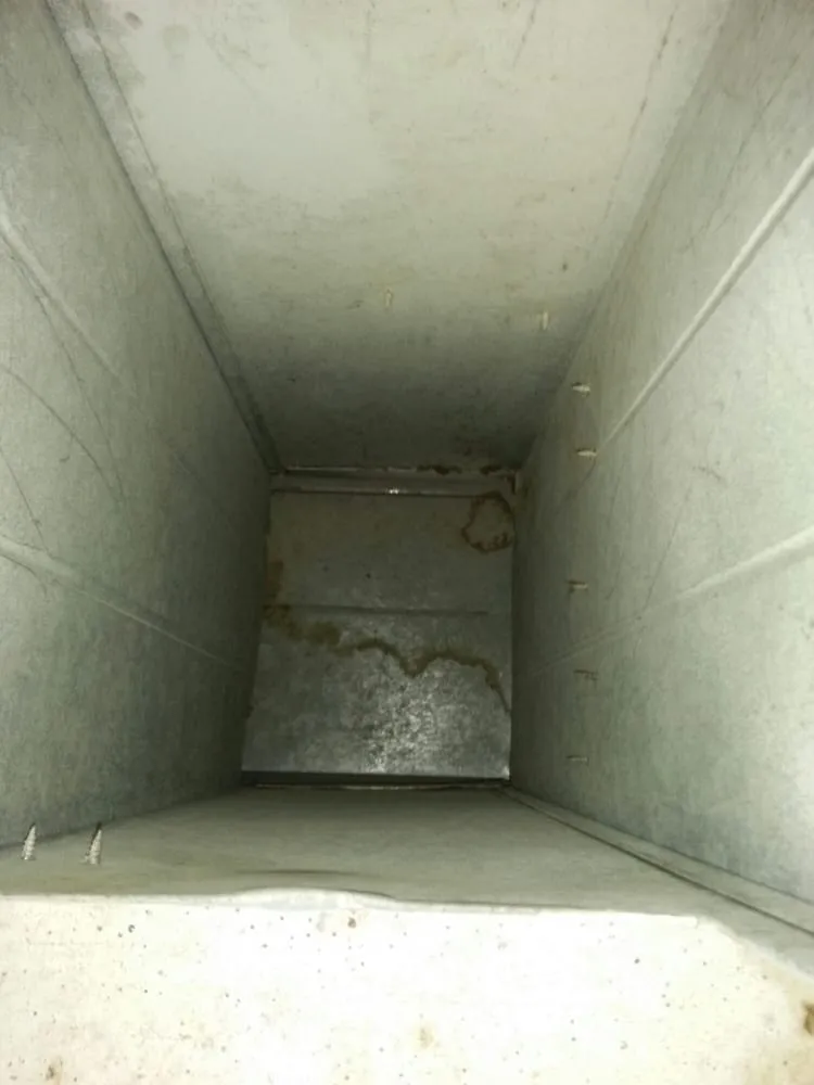 Slide of Home Safe Mold Remediation