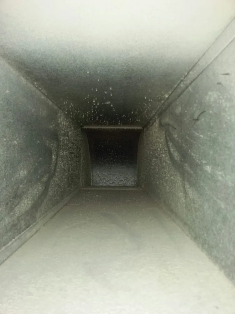 Slide of Home Safe Mold Remediation