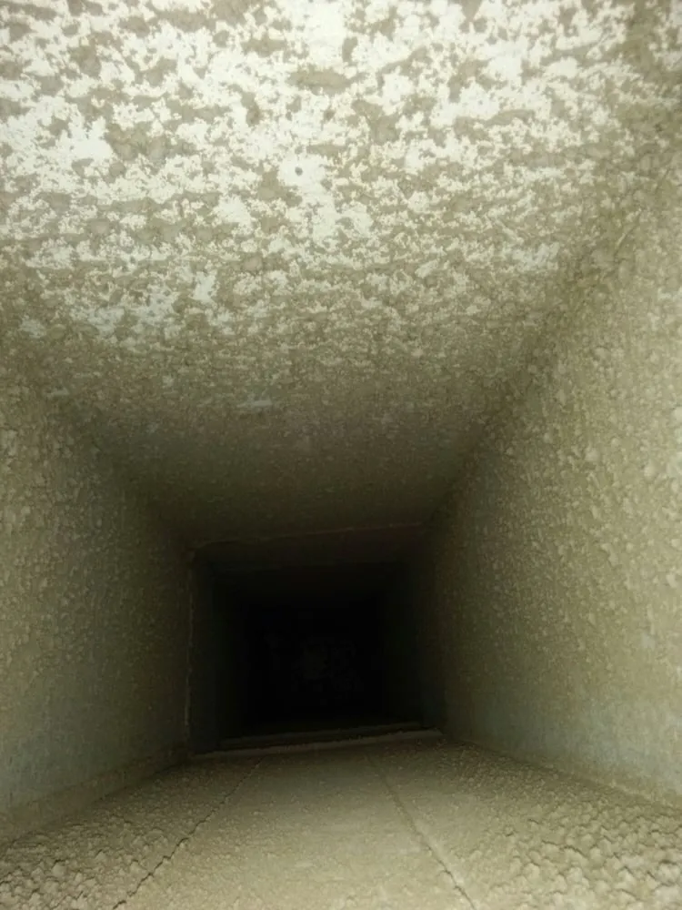 Slide of Home Safe Mold Remediation