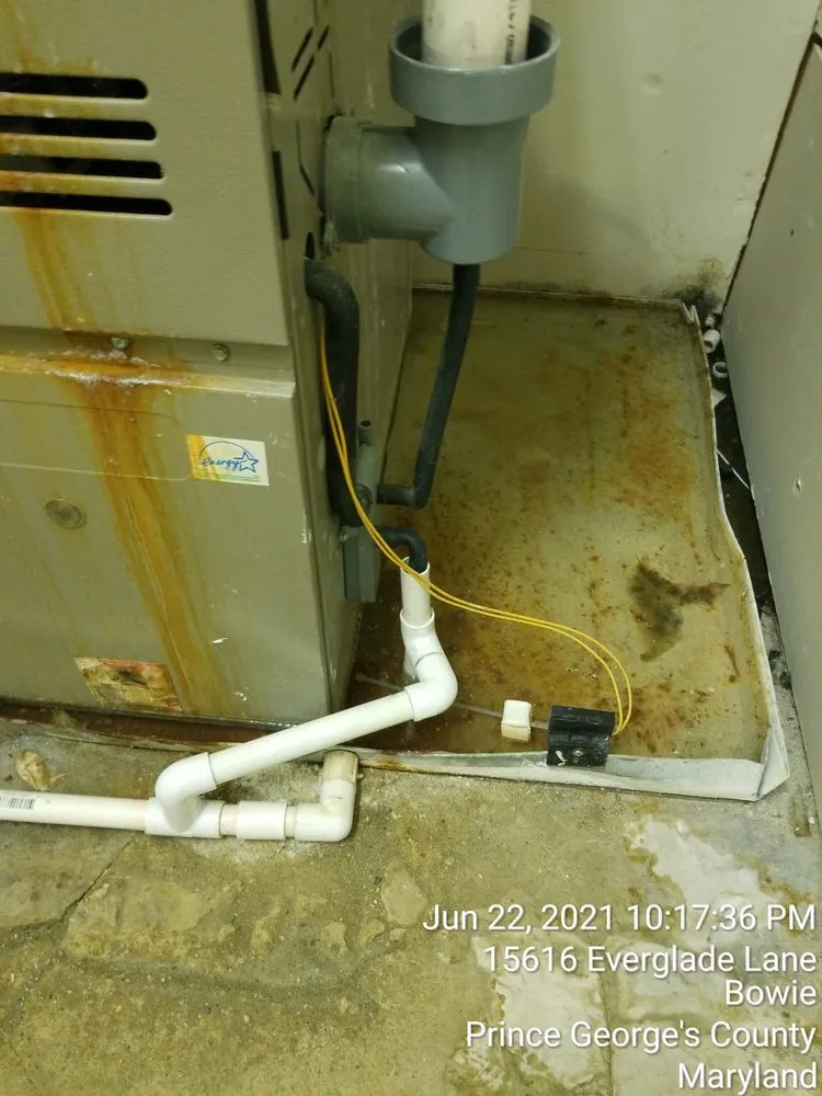 Slide of Home Safe Mold Remediation