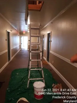 Home Safe Mold Remediation