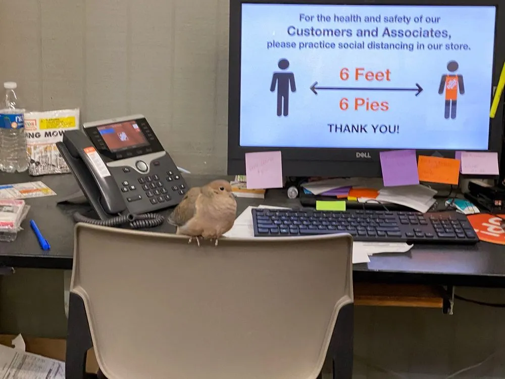 Slide of Home Services at The Home Depot