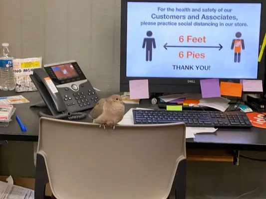 Home Services at The Home Depot