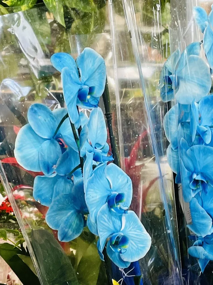 Slide of Home Services at The Home Depot