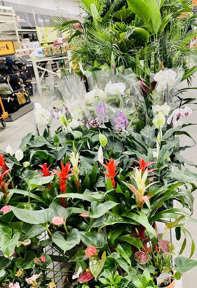 Slide of Home Services at The Home Depot