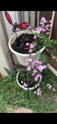 Home Services at The Home Depot Logo