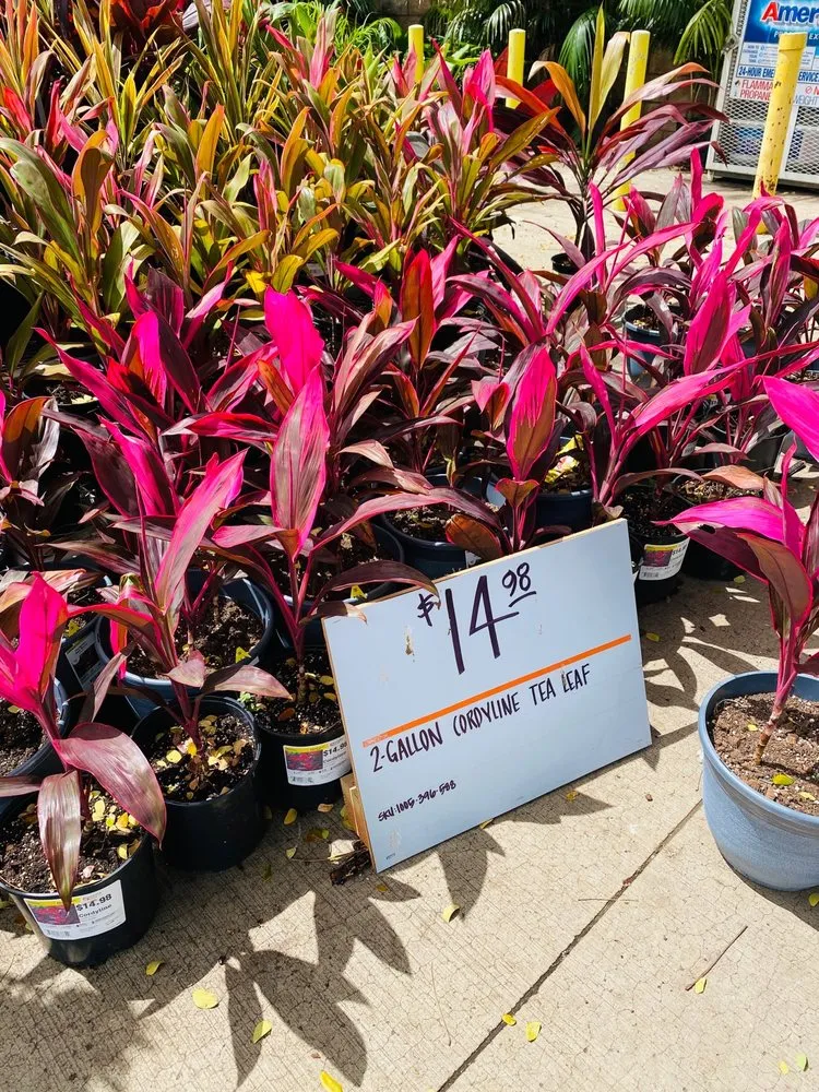 Slide of Home Services at The Home Depot