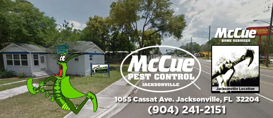 Slide of Home Services by McCue & McCue Pest Control