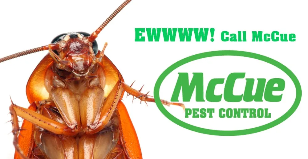 Slide of Home Services by McCue