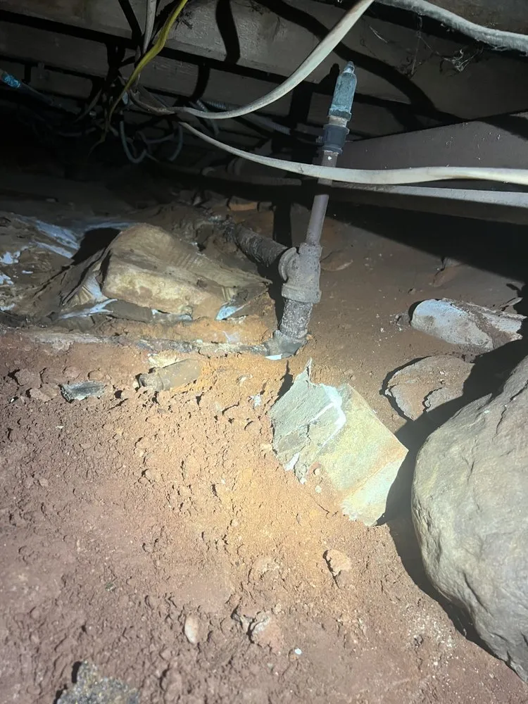 Slide of Home Whisperer