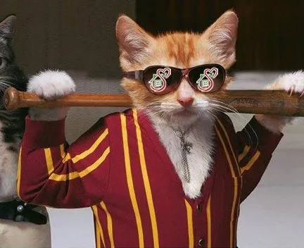 Slide of Homeowners Hub