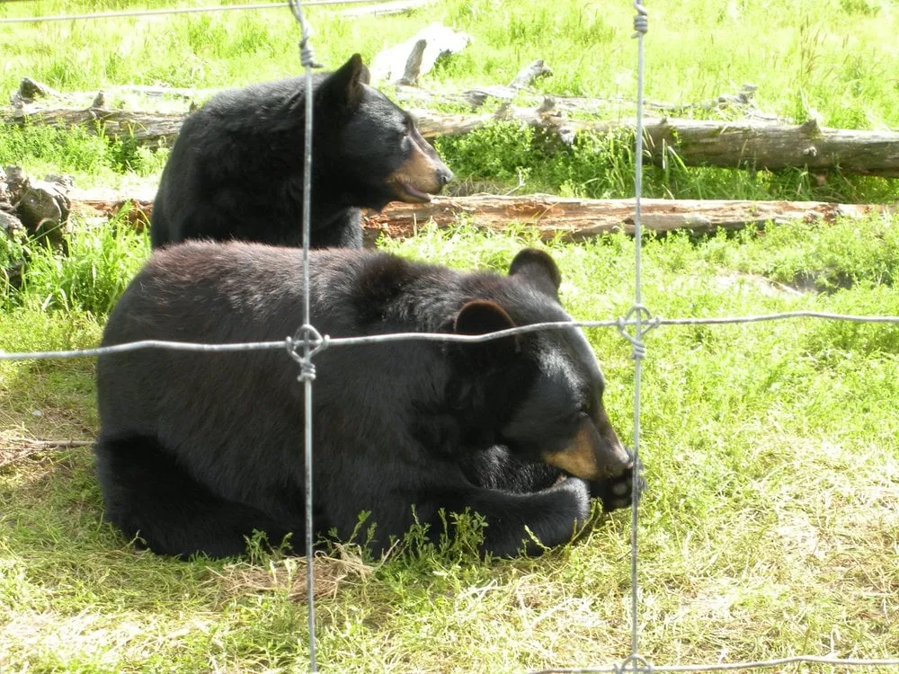 Slide of Hometown Heating & Cooling