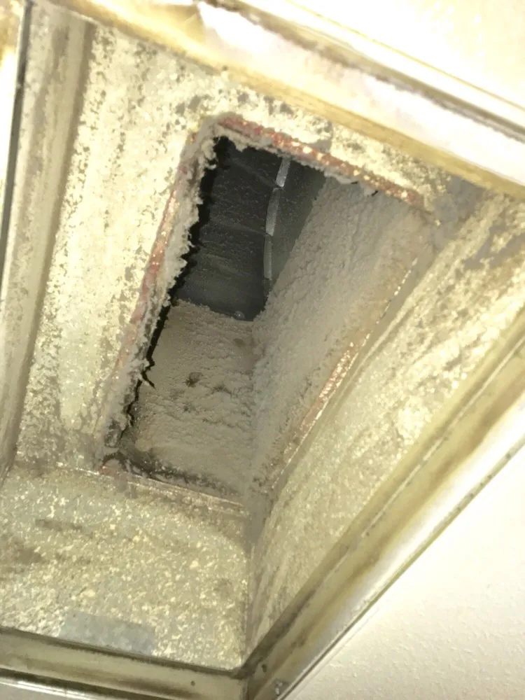 Slide of Honest Air Care