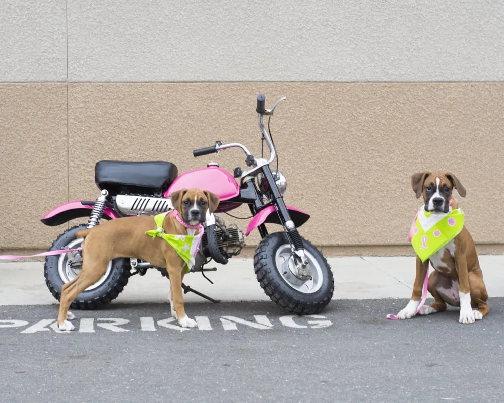 Slide of Honey's Air & Solar