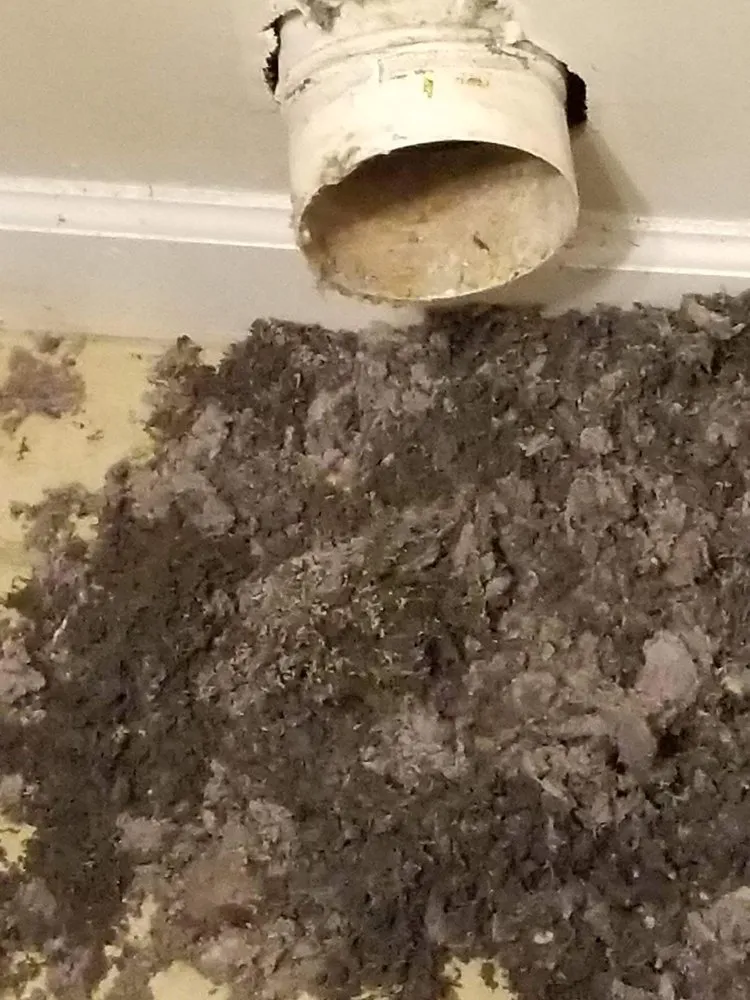 Slide of Hook N Ladder