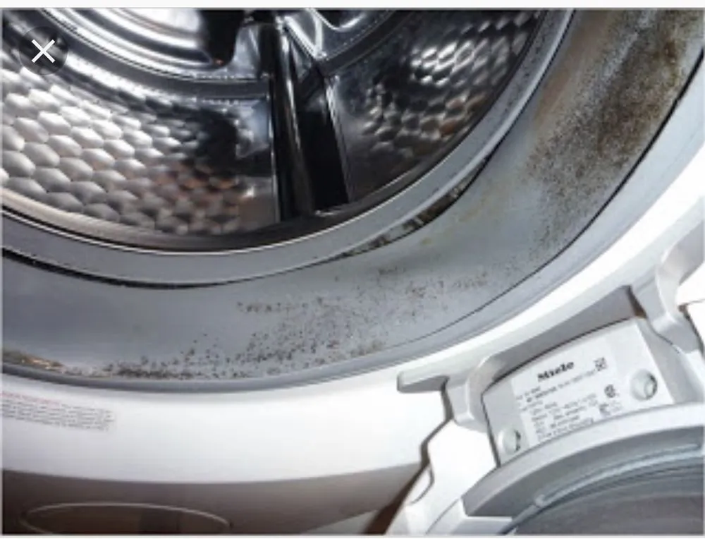 Slide of Horizon Appliance & HVAC