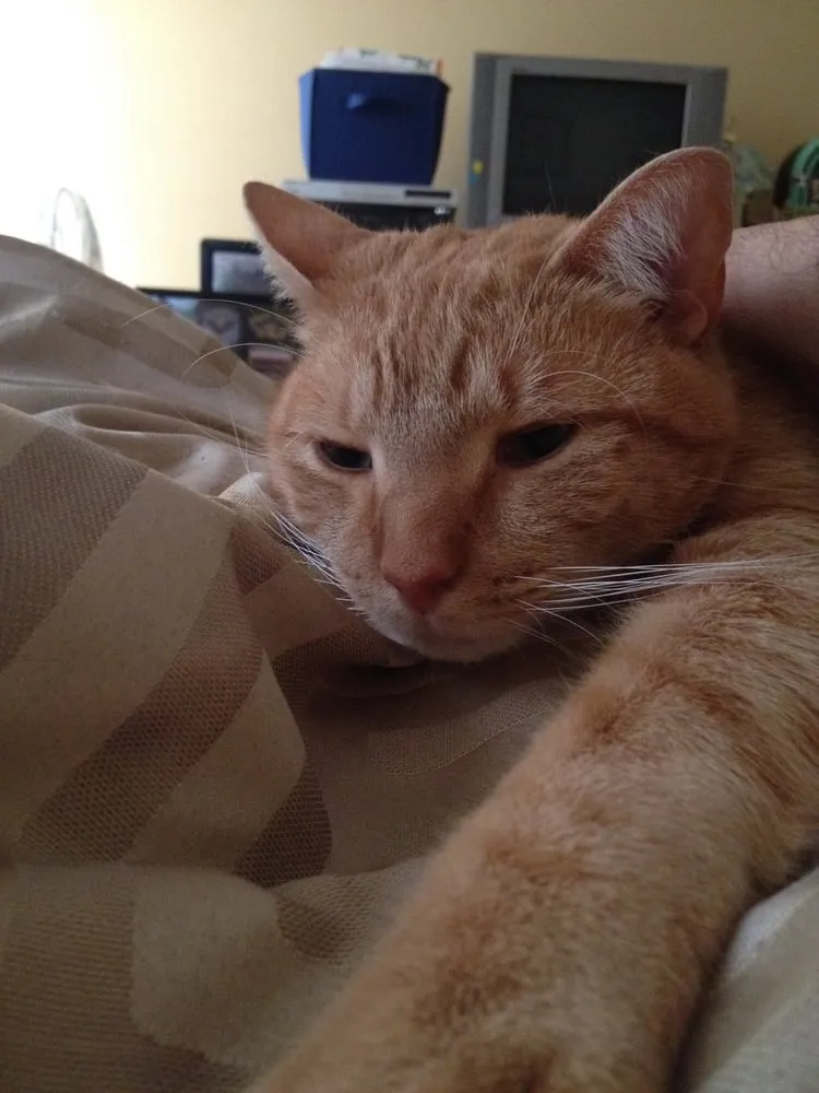 Slide of Horizon Heating & Cooling