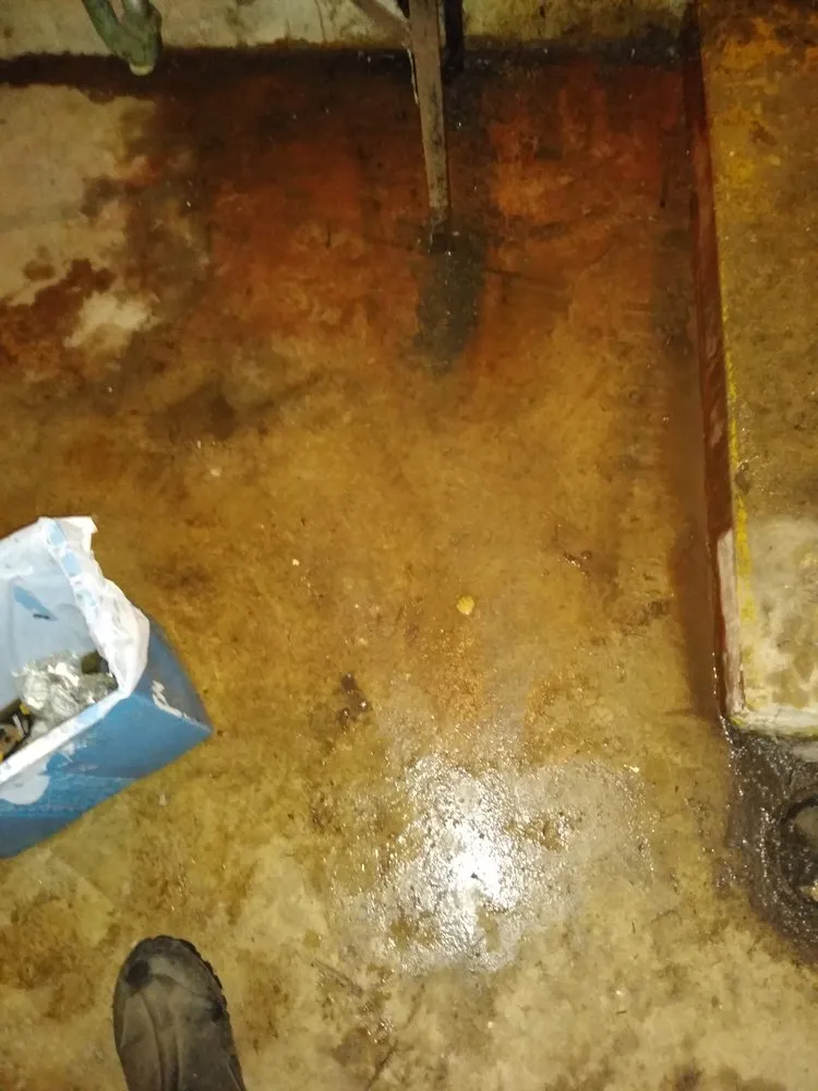 Slide of Horizon Services