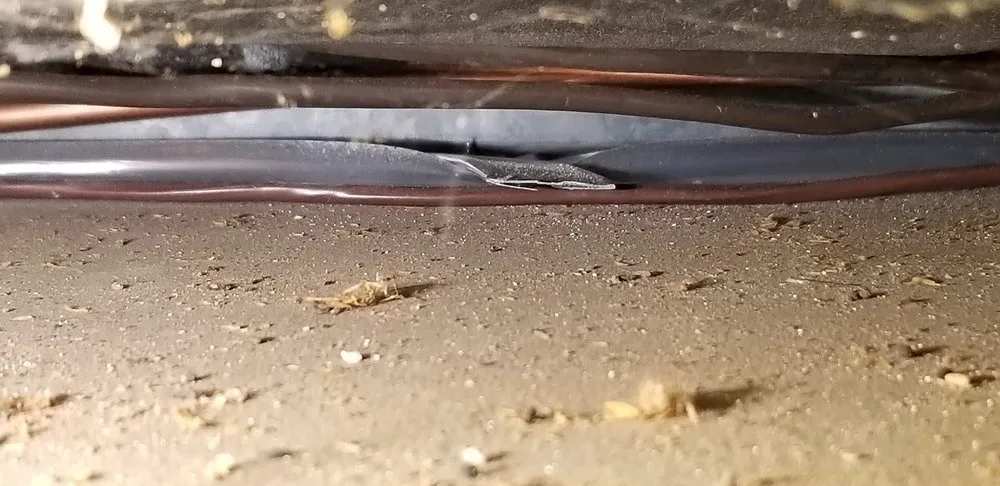 Slide of Horizon Services